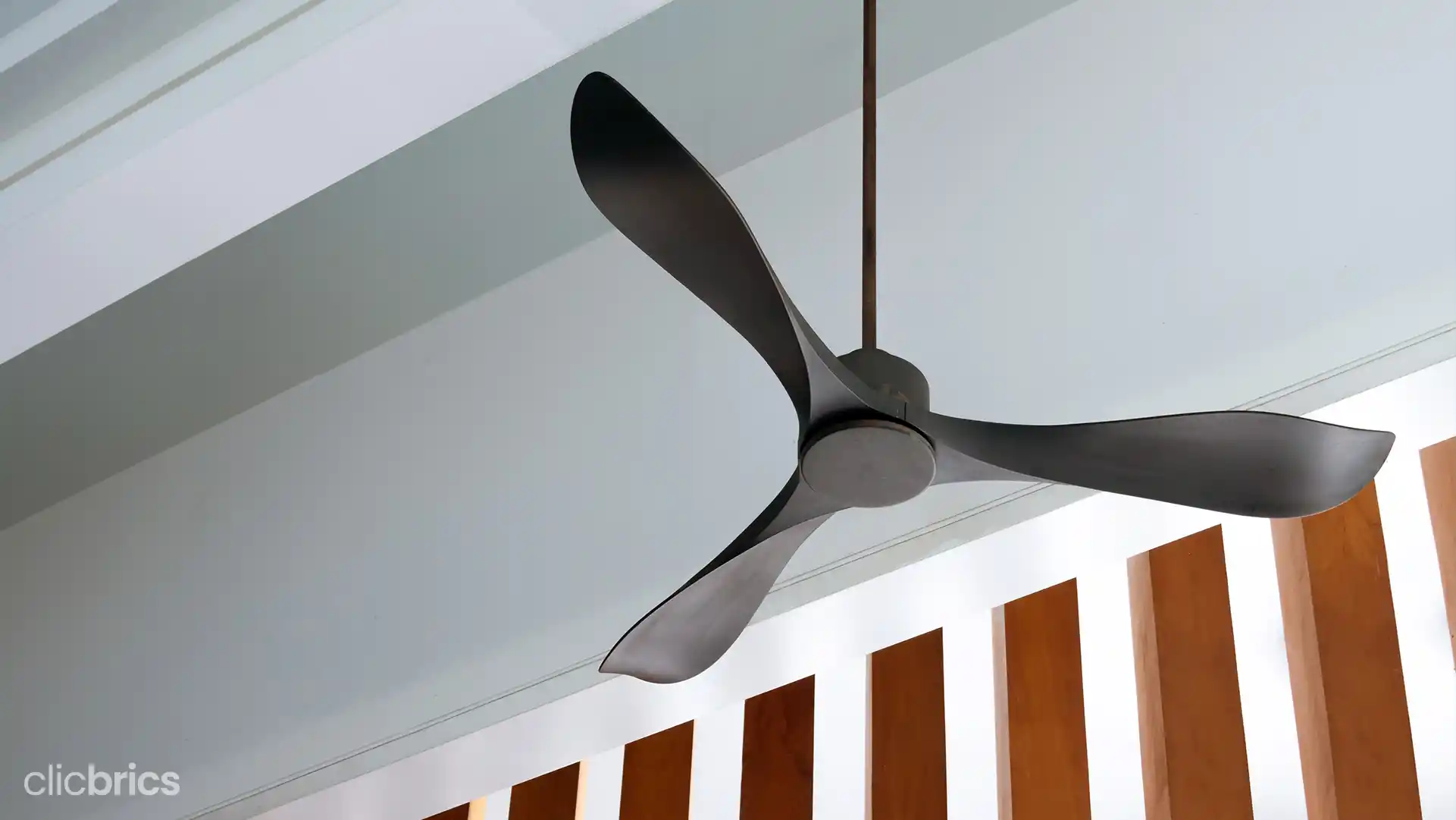 ceiling fan new design